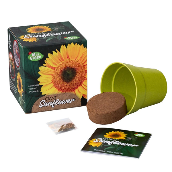 Giant Sunflower