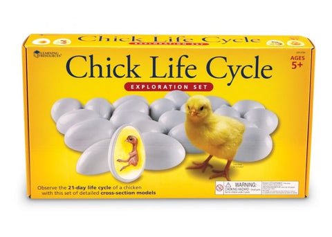 Chick Life Cycle Exploration Set