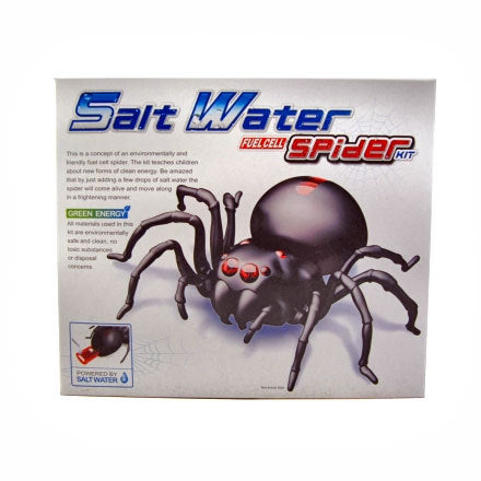 Salt Water Spider