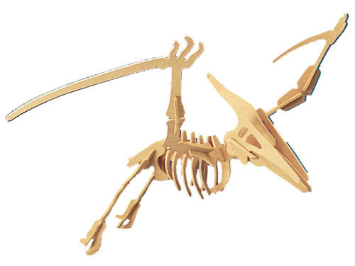 Dino kit large pteranodon