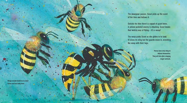 Flight of the honey bee by Raymond Huber & Brian Lovelock