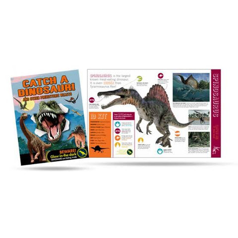 Catch a Dinosaur! And Other Prehistoric Beasts