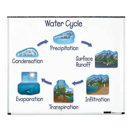 Giant Magnetic Water Cycle