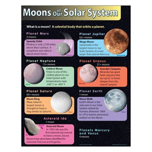 Moons of the Solar System poster