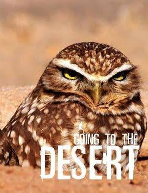 Going to the Desert