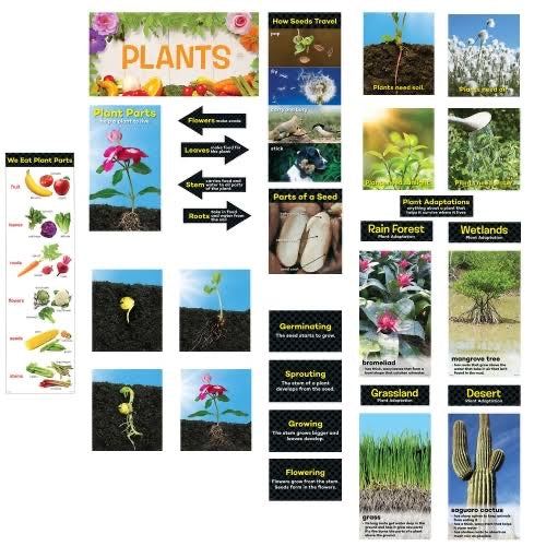 Mini Bulletin Board Set: Plants