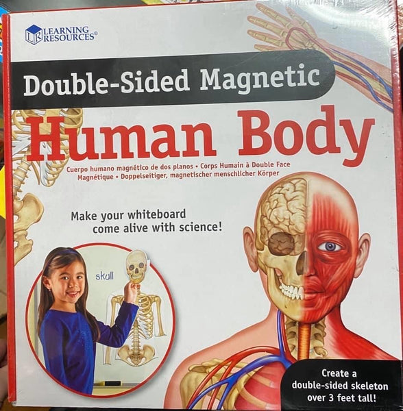 Double sided magnetic human body.