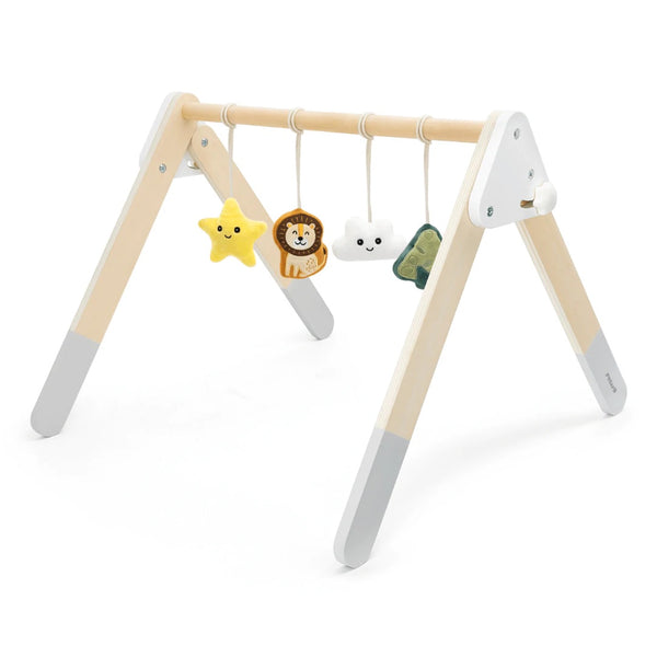 Baby Play Gym