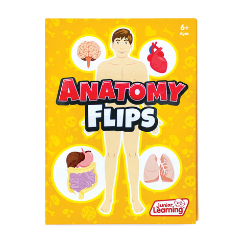 Anatomy Flips