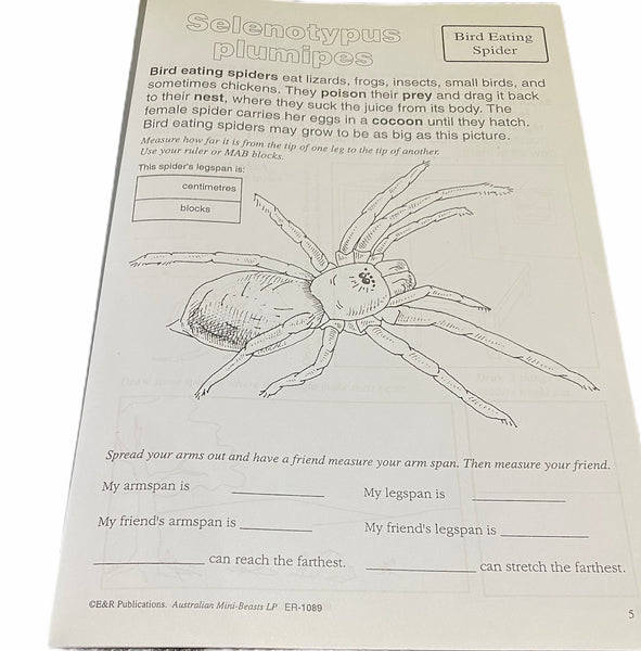 Australian Mini Beasts - Middle Primary