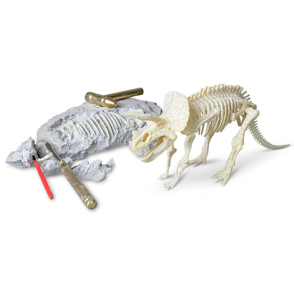 Triceratops Paleontology kit