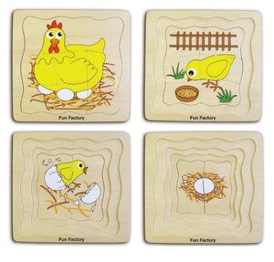 Lifecycle of a chicken puzzle with layers