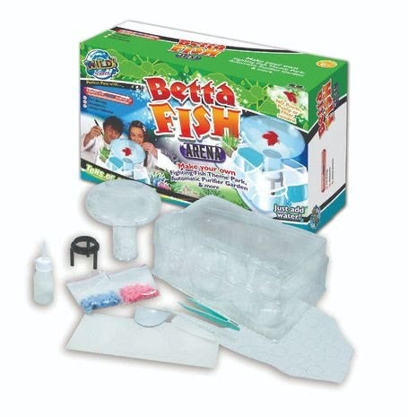 Betta Fish Arena