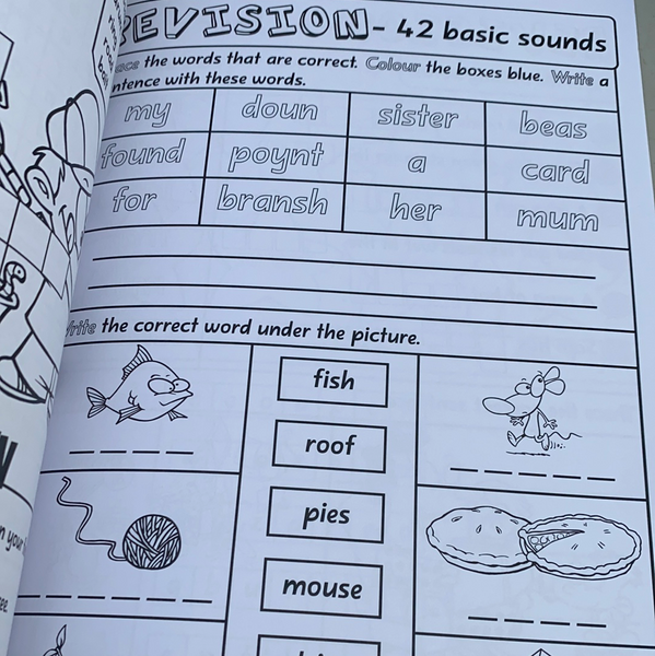 Phonics Fun 42 Basic Sounds