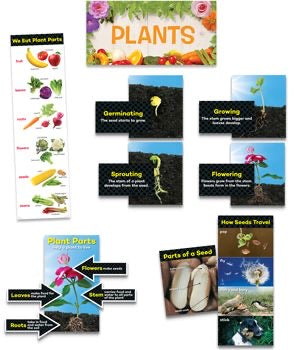 Mini Bulletin Board Set: Plants