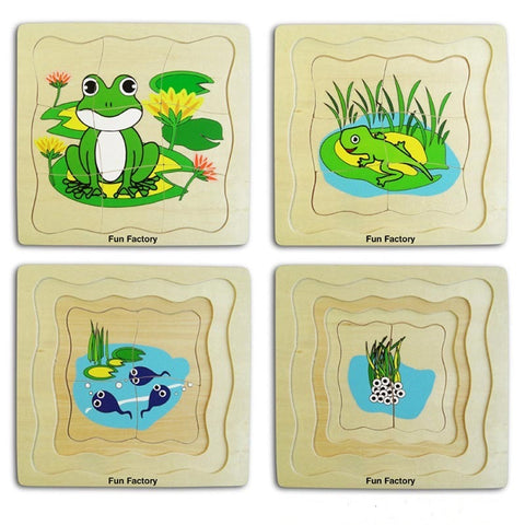 Lifecycle of a frog puzzle with layers