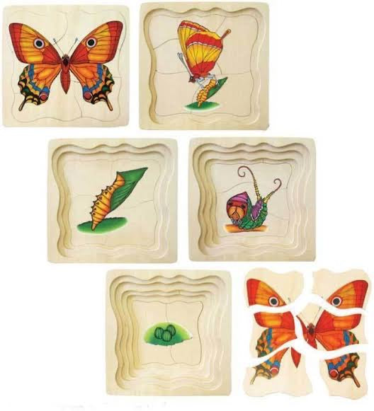 Lifecycle of a butterfly puzzle with layers