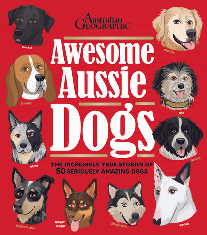 National Geographic Awesome Aussie Dogs