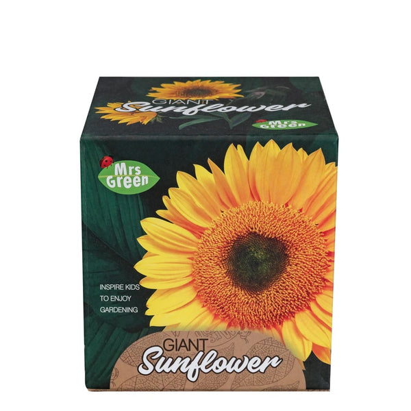 Giant Sunflower