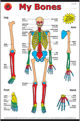 My Bones Poster